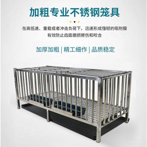 笼子批发不锈钢鸡笼子鸭鹅兔猫大号家禽养殖笼具直销一件代发厂家