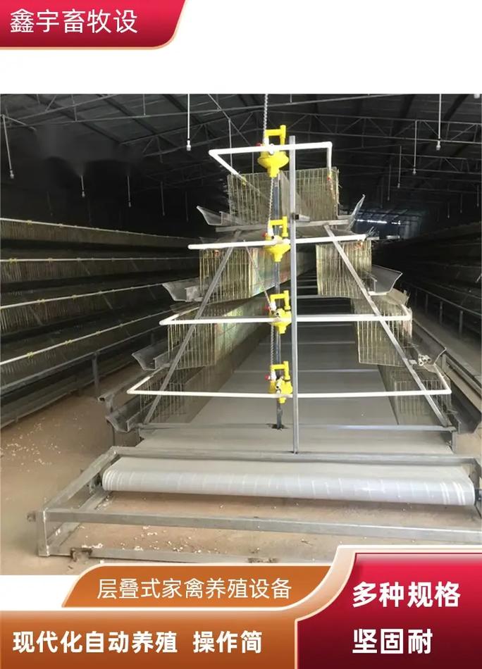 05-29 03:00 全部评论 大家都在搜: 山东鑫宇畜牧养殖
