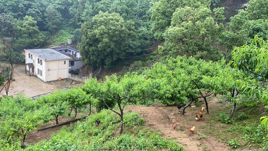 饶雪威,合作社经营范围包括畜禽养殖;水产品养殖;蔬菜,林果